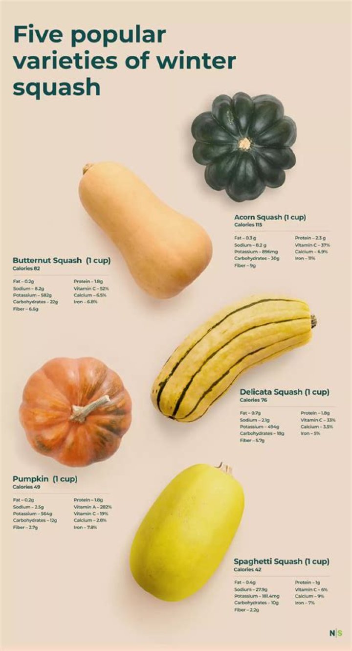 Which type of squash has the least carbs?