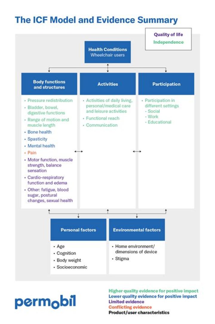 Who developed the ICF model?