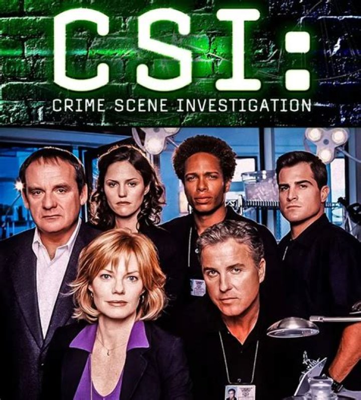 Who played on the first CSI?