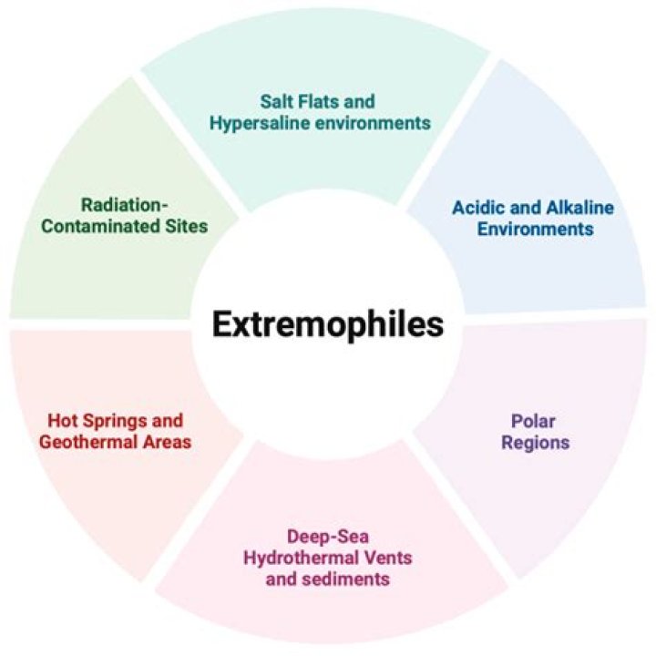 Why are extremozymes preferable rather than normal mesophilic enzymes?
