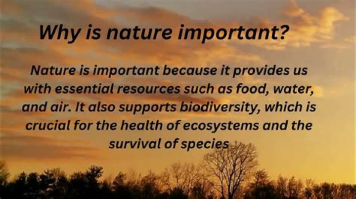 Why nature is important in our life?