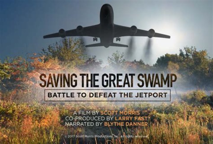 Why was the Great Swamp Fight such a significant battle?